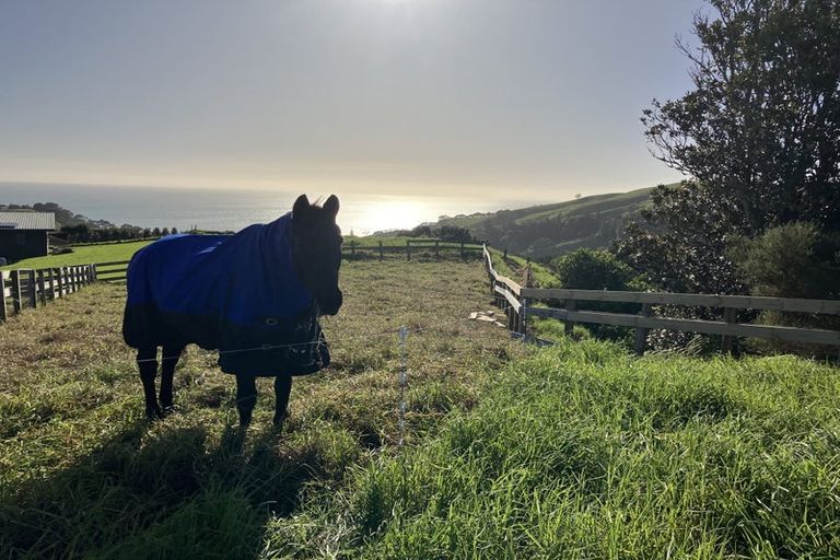 Photo of property in 109 Mimiha Ridge Road, Matata, Whakatane, 3194
