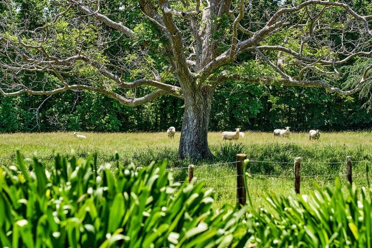 Photo of property in 8 Maungahina Road, Te Ore Ore, Masterton, 5886