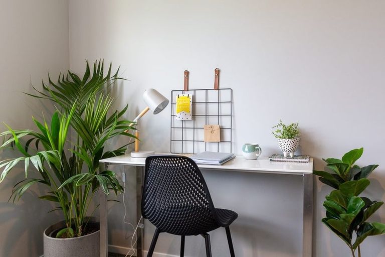 Photo of property in 54 Williamson Road, Gordonton, Hamilton, 3281