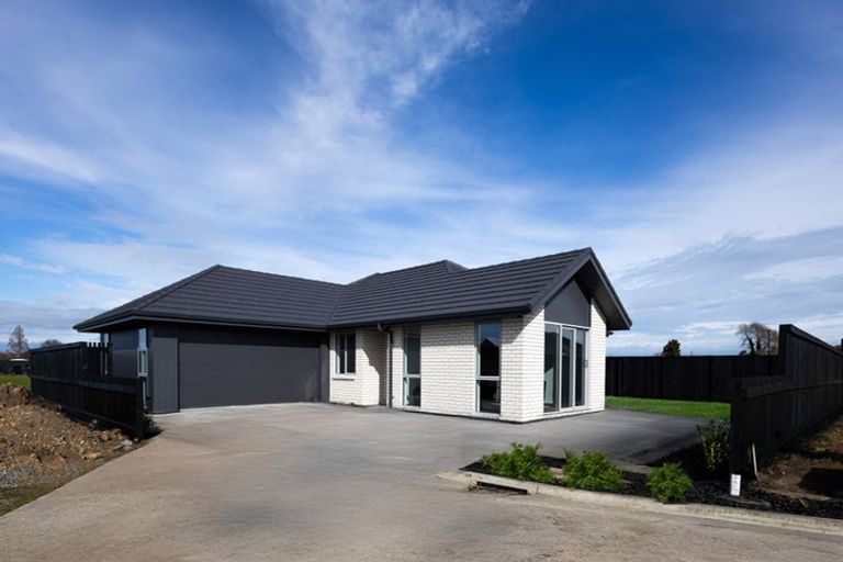 Photo of property in 12 Crawford Lane, Morrinsville, 3300