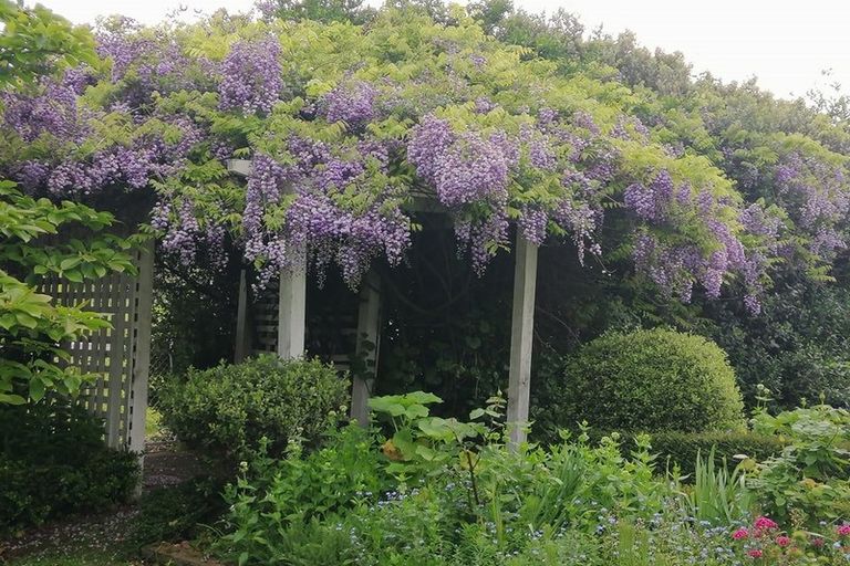 Photo of property in 30 Dundas Street, Porangahau, 4293