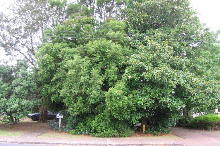 Photo of property in 31 Hillcrest Avenue, Hillcrest, Auckland, 0627