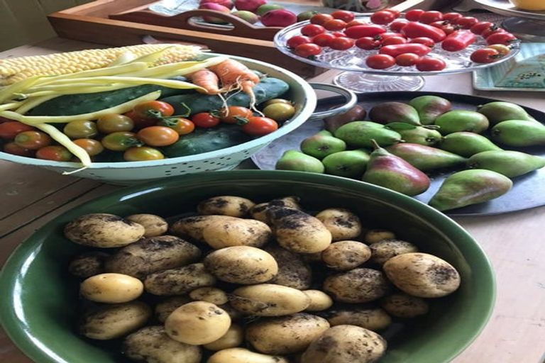 Photo of property in 2239b State Highway 12, Paparoa, 0571