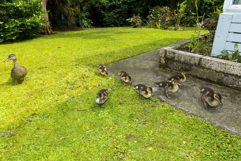 Photo of property in 20a Blue Mountains Road, Silverstream, Upper Hutt, 5019