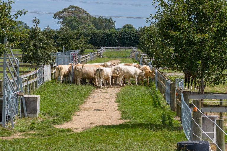 Photo of property in 23c Broadmeadows Road, Tamahere, Hamilton, 3493