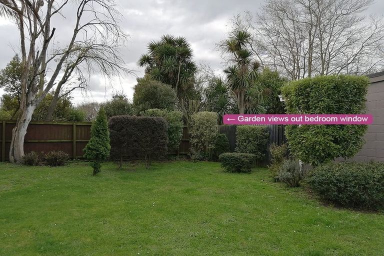 Photo of property in 8/23 Frederick Street, Waltham, Christchurch, 8011