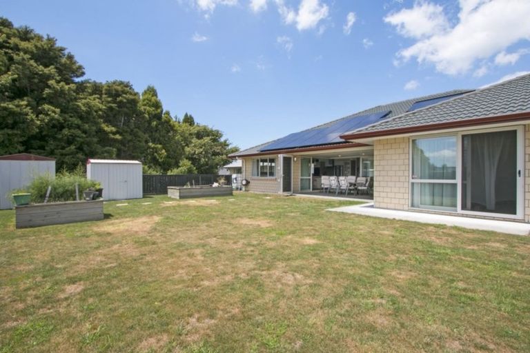 Photo of property in 8 Nolan Place, Katikati, 3129