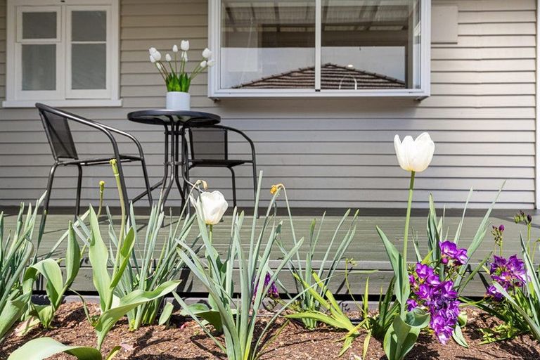 Photo of property in 36 Karaka Street, Nawton, Hamilton, 3200