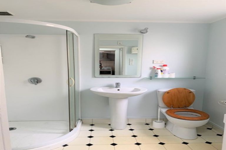 Photo of property in 10 Baldwin Street, North East Valley, Dunedin, 9010