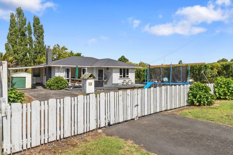 Photo of property in 12 Scott Road, Te Kauwhata, 3710