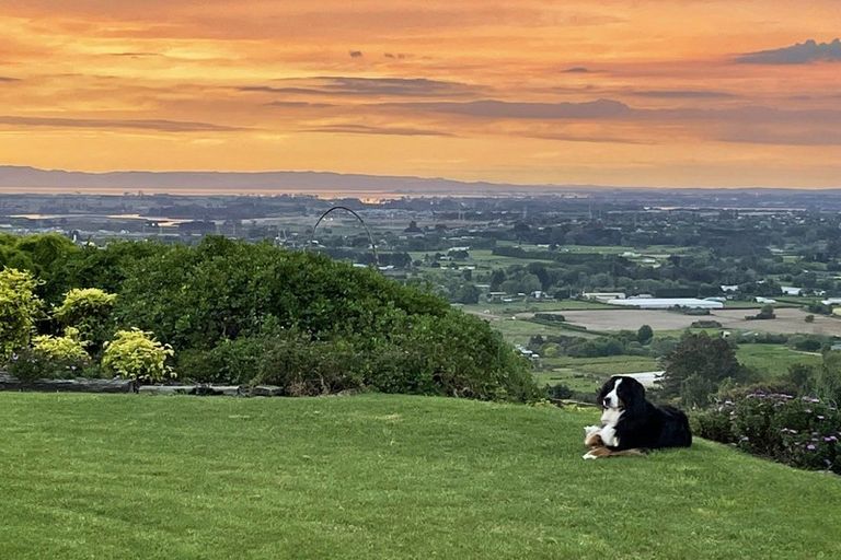 Photo of property in 332 Macwhinney Drive, Drury, 2577