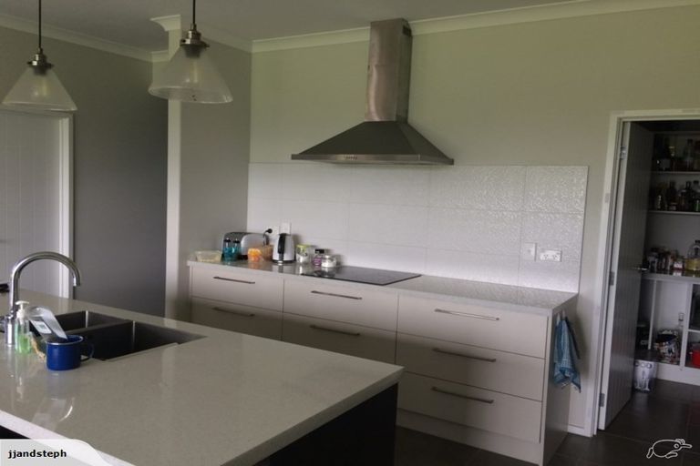 Photo of property in 9 Webster Road, Matangi, Hamilton, 3284