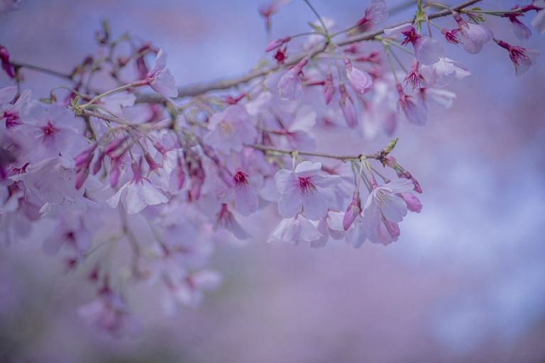 Photo of property in 20 Captain Wood Avenue, Whitianga, 3510