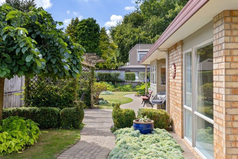 Photo of property in 38 Hohaia Street, Matamata, 3400