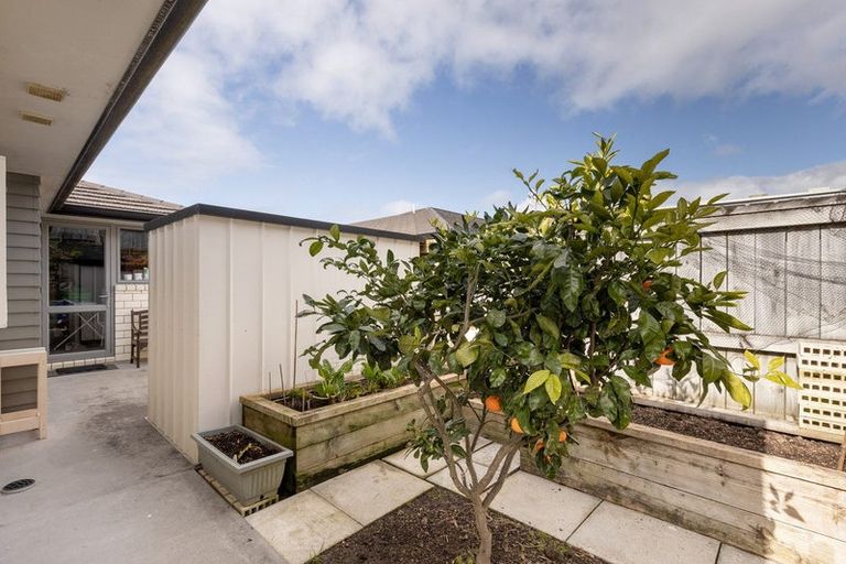 Photo of property in Waterview Estate, 3/4 Greystone Place, Omokoroa, 3114