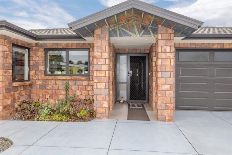 Photo of property in 19 Kent Street, Levin, 5510