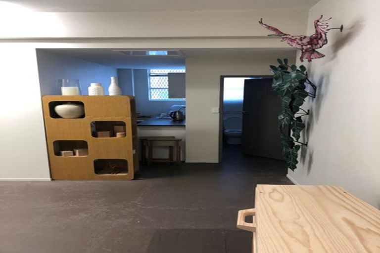 Photo of property in 45 Haining Street, Te Aro, Wellington, 6011