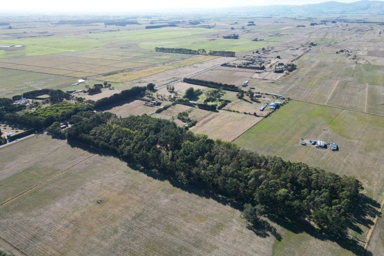 Photo of property in 270 Motuiti Road, Foxton, 4891