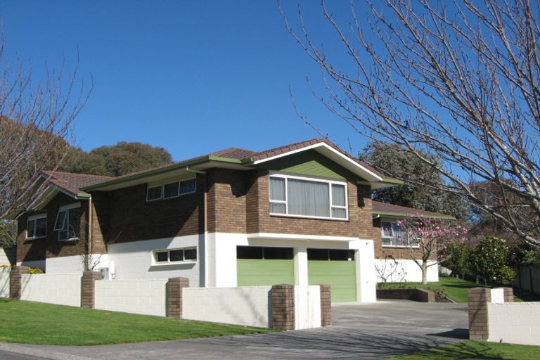 Photo of property in 36 Kopanga Road, Havelock North, 4130