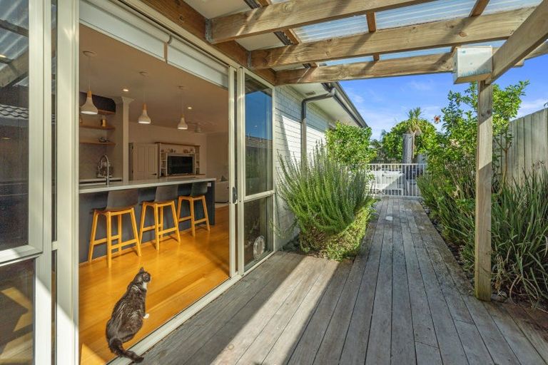 Photo of property in 24 Fahey Avenue, Mount Maunganui, 3116