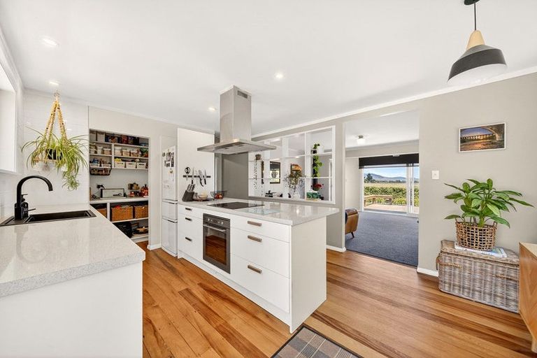 Photo of property in 47 Ferry Road, Martinborough, 5711