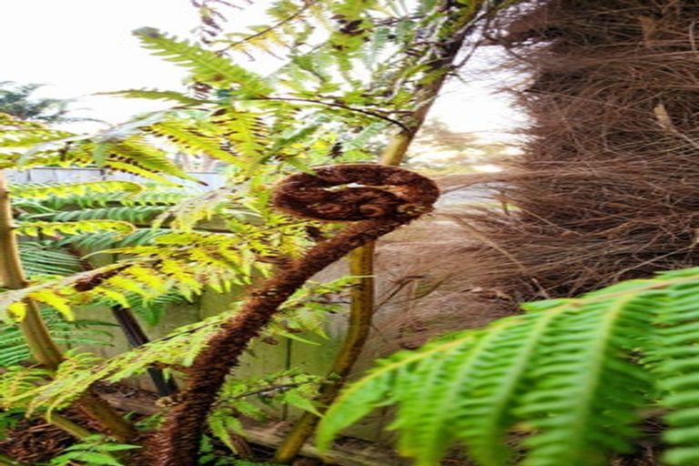 Photo of property in 15 Waiatawa Road, Tikipunga, Whangarei, 0112