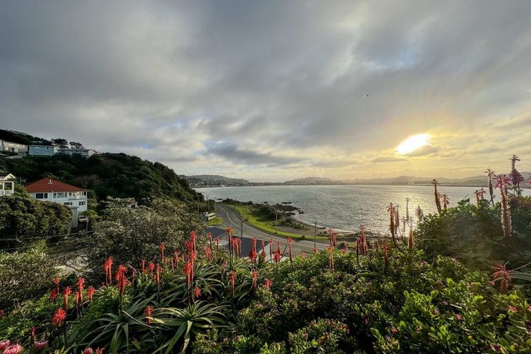 Photo of property in 1 Hungerford Road, Lyall Bay, Wellington, 6022