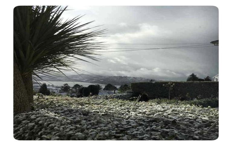 Photo of property in 22 Erin Street, Roslyn, Dunedin, 9010