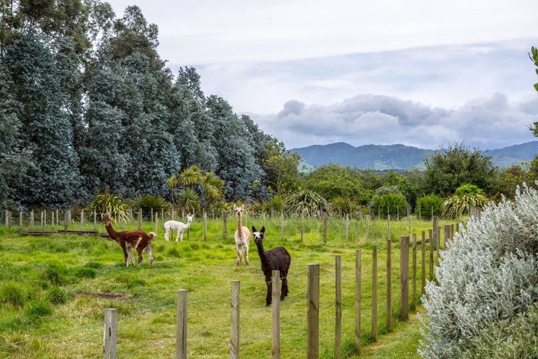 Photo of property in 75 Andersons Line, Clareville, Carterton, 5713