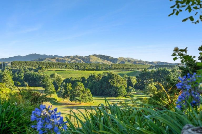 Photo of property in 1/143 Tirau Road, Cambridge, 3496