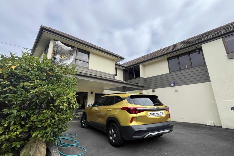 Photo of property in 16 Trevor Terrace, Paremata, Porirua, 5024