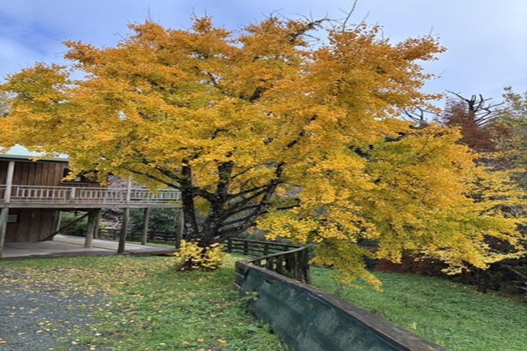 Photo of property in 158 Tunnel Road, Puhoi, Warkworth, 0994