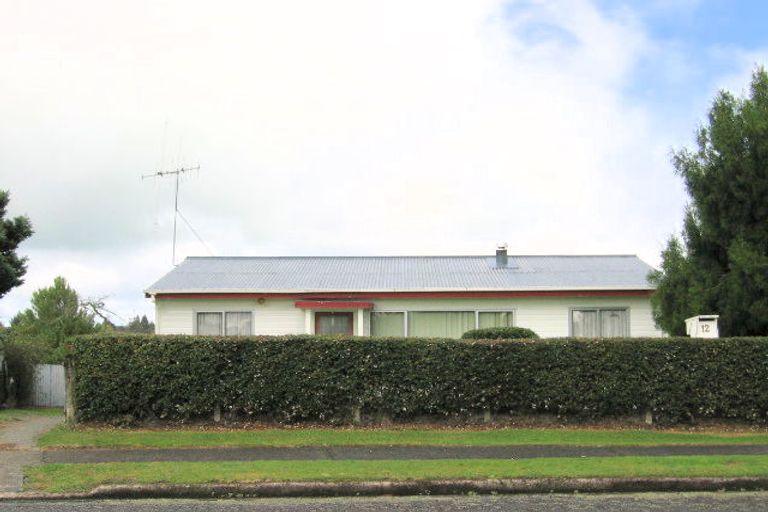 Photo of property in 12 Esk Crescent, Tokoroa, 3420