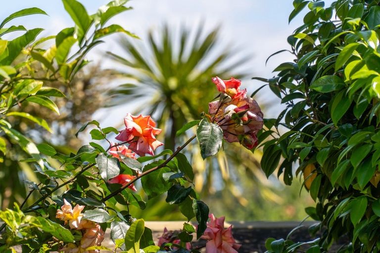 Photo of property in 1/47 Stredwick Drive, Torbay, Auckland, 0630