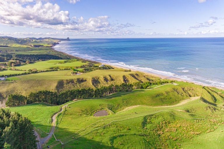 Photo of property in 1352 Otahome Road, Otahome, Masterton, 5872