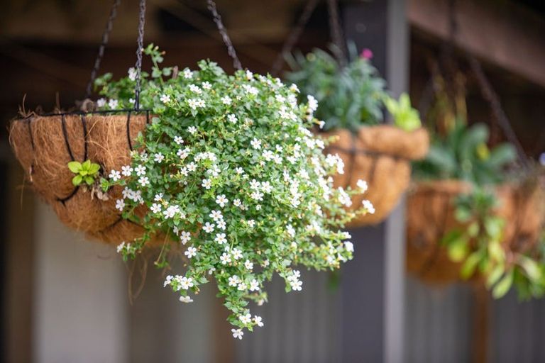 Photo of property in 6 Colstone Street, Glenview, Hamilton, 3206