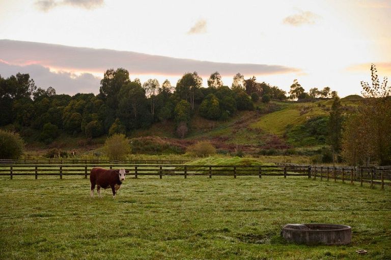 Photo of property in 56e Te Puna Road, Te Puna, Tauranga, 3174