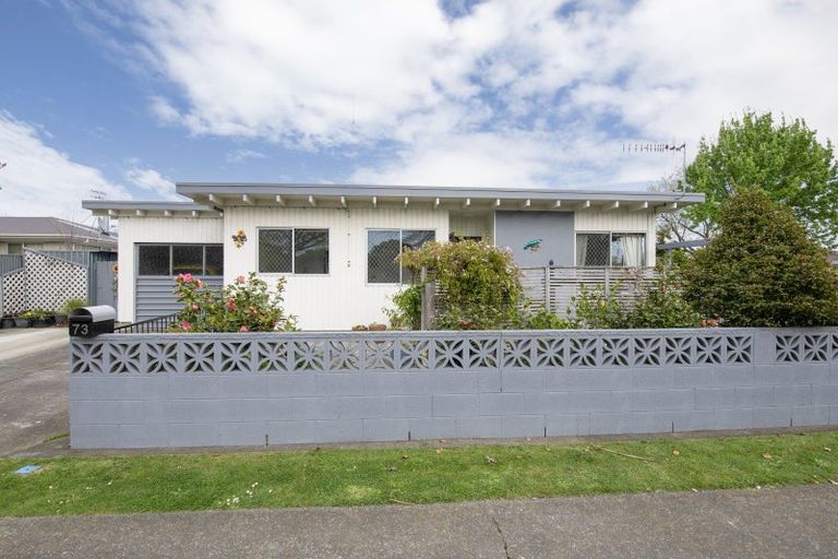 Photo of property in 73 Westminster Avenue, Tamatea, Napier, 4112