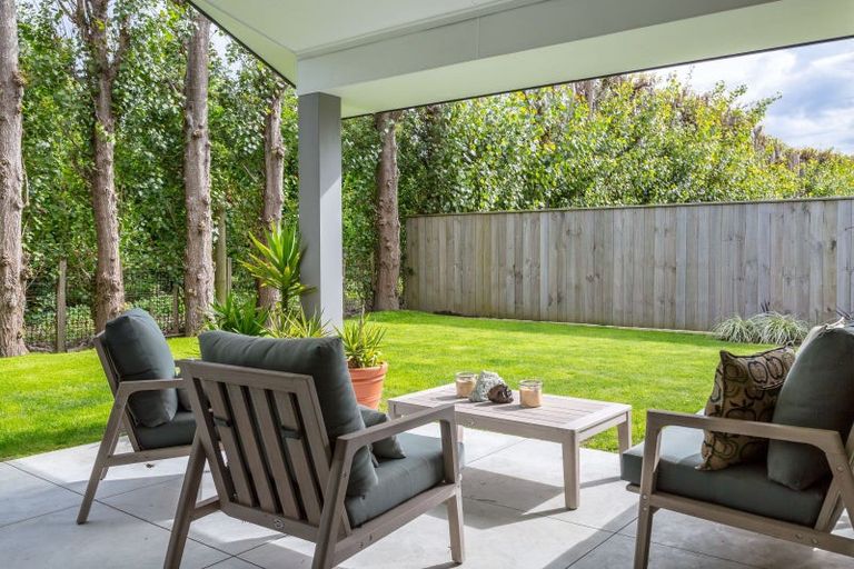 Photo of property in 37 Westwood Avenue, Greytown, 5712