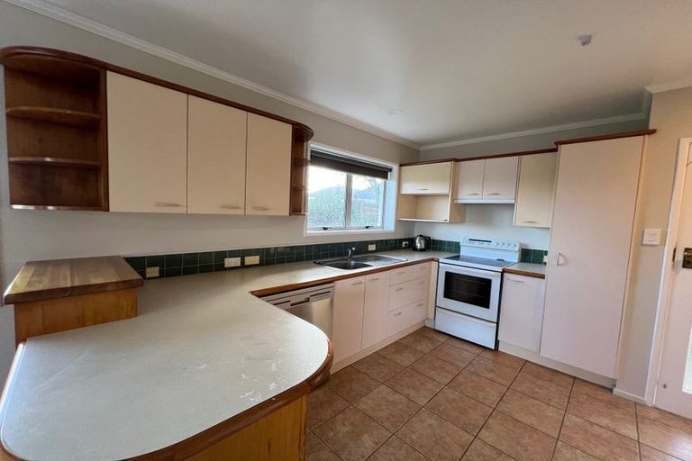 Photo of property in 29 Alison Street, Hamilton Lake, Hamilton, 3204