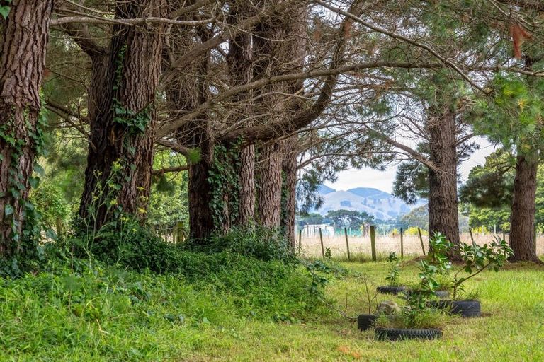 Photo of property in 80 Johnston Street, Featherston, 5710