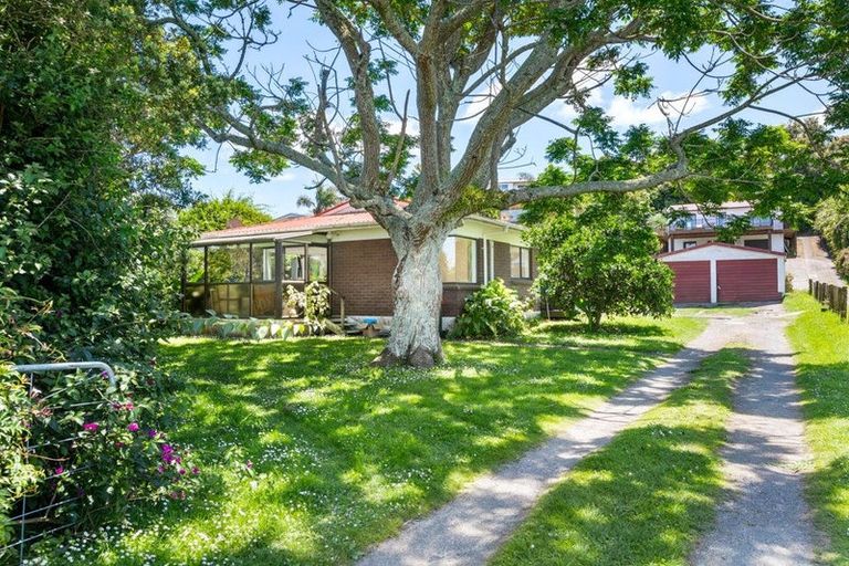 Photo of property in 124 Athenree Road, Athenree, Katikati, 3177