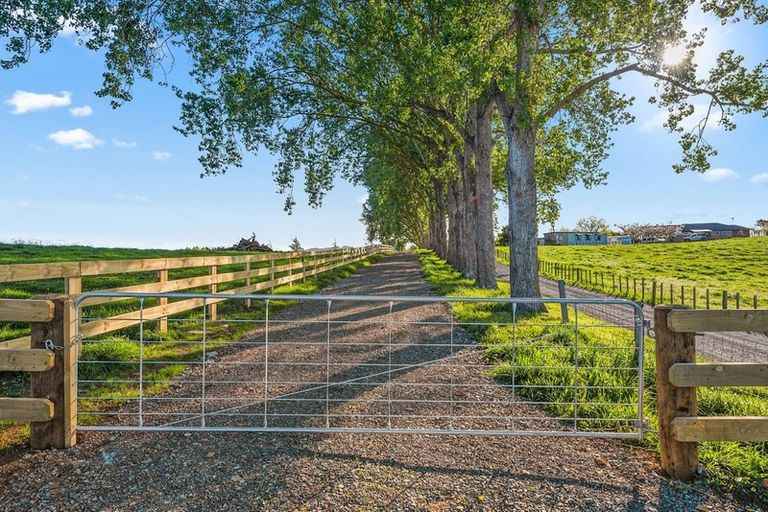 Photo of property in 41 Mccandlish Road, Ngahinapouri, Hamilton, 3290