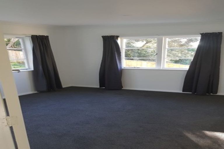 Photo of property in 153 The Ridgeway, Mornington, Wellington, 6021