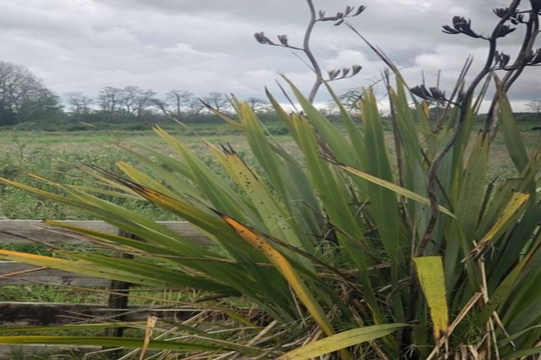 Photo of property in 75 Paetai Road, Ohinewai, Te Kauwhata, 3771