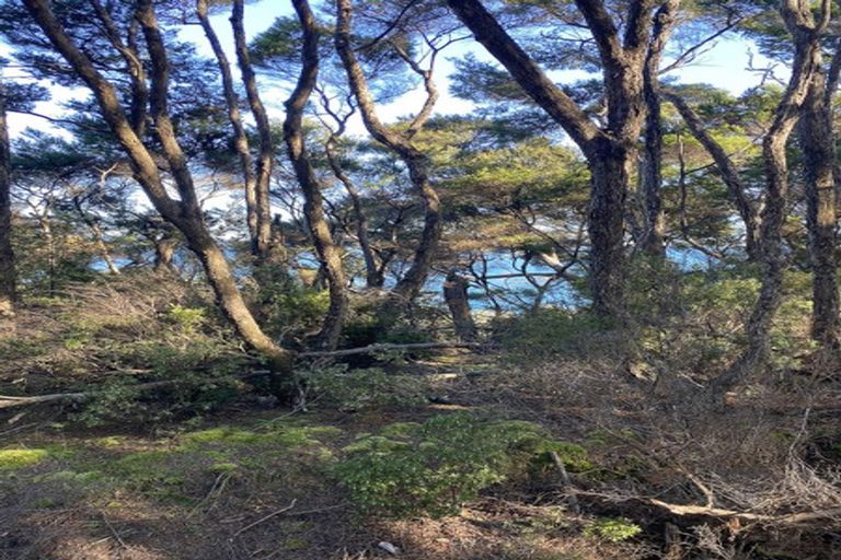 Photo of property in 19 Woods Ridge Road, Kawau Island, 0920