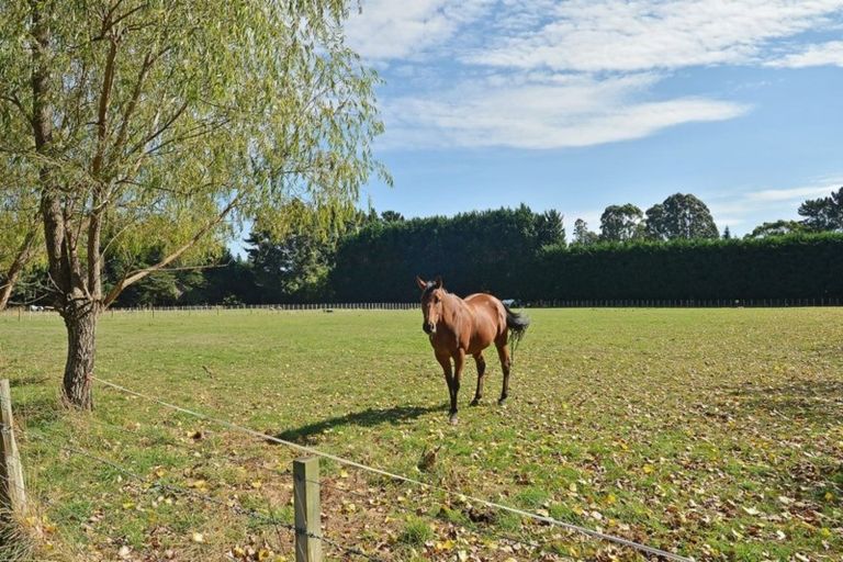 Photo of property in 221 Upper Manaia Road, Upper Plain, Masterton, 5888