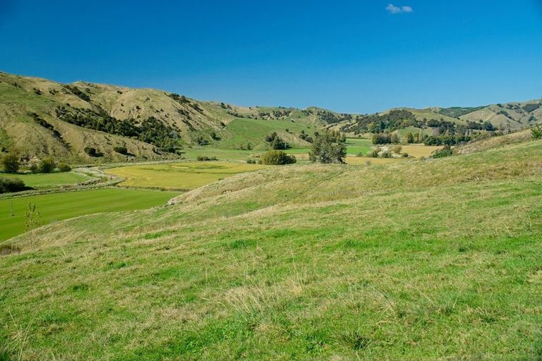 Photo of property in 1215 Wharekopae Road, Ngatapa, Gisborne, 4072