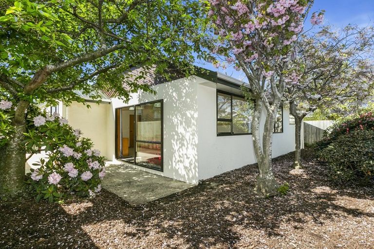 Photo of property in 72c Queens Drive, Saint Kilda, Dunedin, 9012
