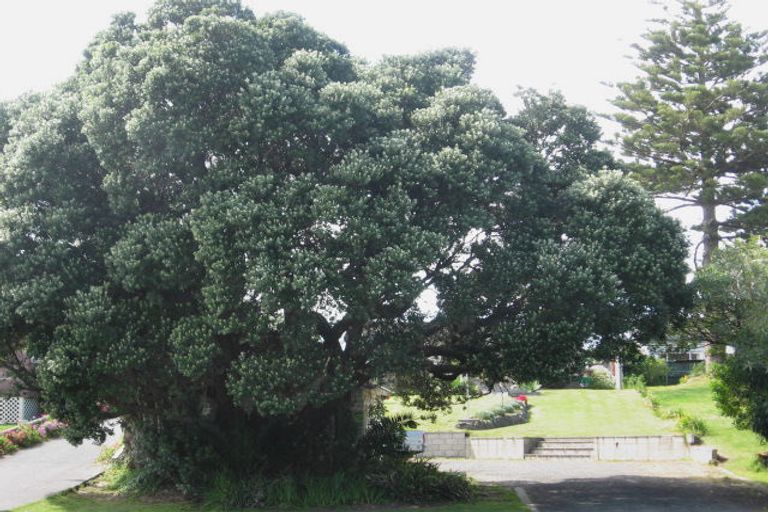 Photo of property in 121 Wairere Road, Wainui, Gisborne, 4010